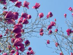 -天鹅湖体育公园