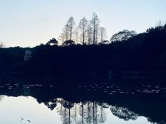 -杭州植物园
