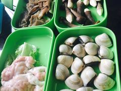 -蚝专家