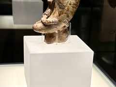 -四川大学博物馆