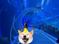 -成都浩海立方海洋公园