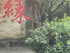 -杭州黄龙洞