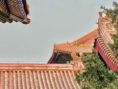 -故宫博物院(故宫)