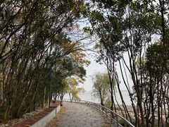 -上海吴淞炮台湾国家湿地公园