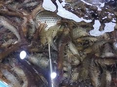 -聚盛源蒸汽海鲜火锅烤肉自助(巨川金海岸购物广场店)