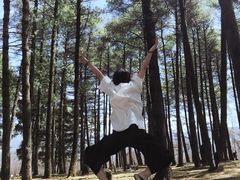 -石棉县孟获城