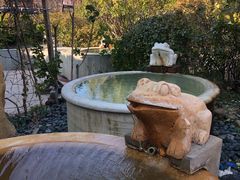 -仁爱团泊湖温泉中心