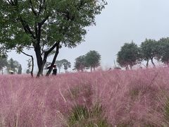 -汉长安城未央宫国家考古遗址公园