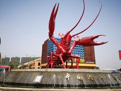 -小李子油焖大虾(天下城旗舰店)