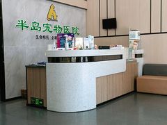 -半岛宠物医院24小时(科华中路店)