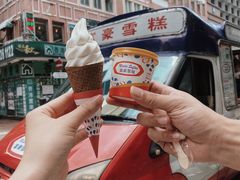 -富豪雪糕车流动点(尖沙咀店)