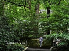 -虎跑公园