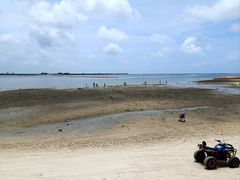 -北海金海湾红树林生态旅游区