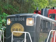 -岚山嵯峨野观光小火车