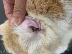 -comecome来吧宠物(奥克斯中心店)