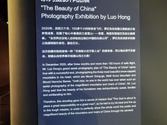 -罗红摄影艺术馆