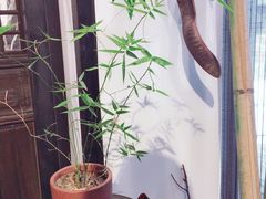 -德迹斋禅意文化茶馆·茶空间·商务洽谈•宴席(桃园店)