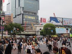 -涩谷区