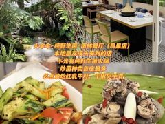 -西双版纳原始森林公园