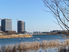-北龙湖湿地公园