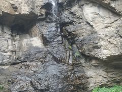 -鲁山国家森林公园