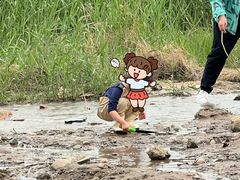 -绿堤公园