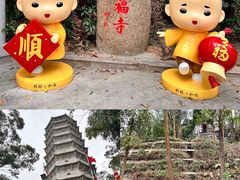 -深圳国际园林花卉博览园