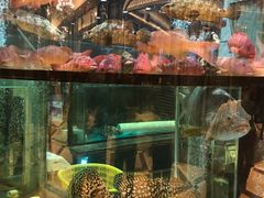-金翠皇宫粤菜·点心·海鲜(科技园店)