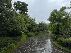 -腾冲洞山温泉村