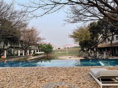 -喜洲吧·江畔老船厂·庭院餐厅(喜临院店)