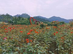 -黄陂区野村谷景区