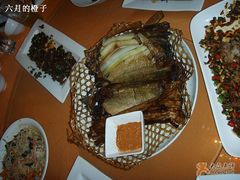 金葱竹网鲈鱼2-甲21号招待所