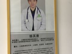 -爱侣宠医·鹦鹉专科·小型哺乳类·异宠专科(灵石路店)