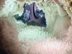 -湖南省地质博物馆