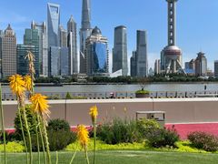 -北外滩滨江绿地