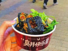 -黑色经典臭豆腐·湖南特产(步行街店)