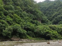 -秦岭风景区