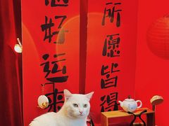-南枝小馆(银鱼巷店)