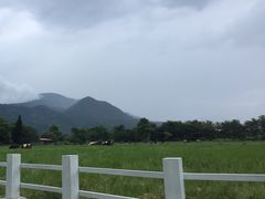 -瑞穗牧场