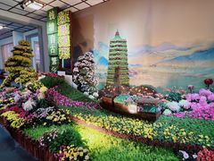 -杭州植物园