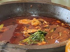 -都江堰石锅鱼