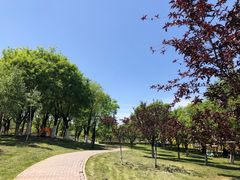 -洨河生态公园