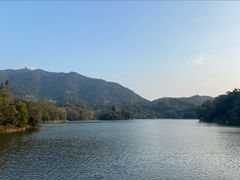 -深圳仙湖植物园