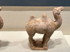 -隋唐大运河文化博物馆