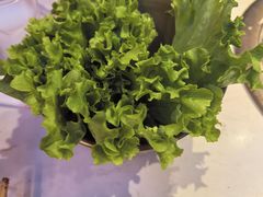 -杨记齐齐哈尔烤肉(总店)