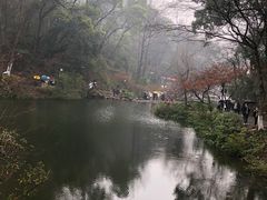 -岳麓山风景名胜区