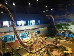 -自贡恐龙博物馆