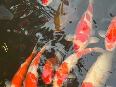 -顺德渔村·岭南一号