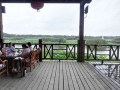 -荷塘月色湿地公园·向阳花洲