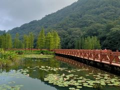-广州市石门国家森林公园